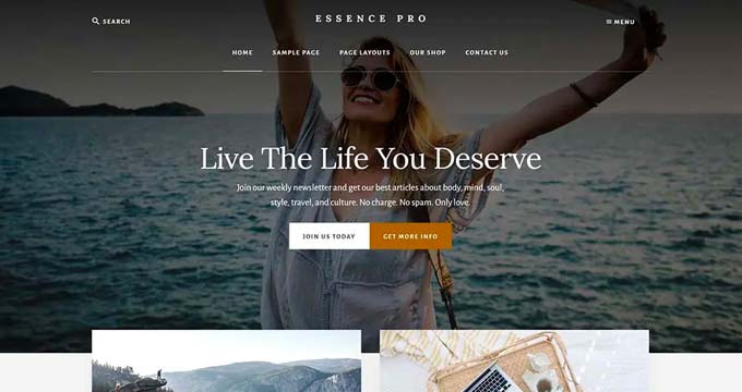 An example of a WordPress travel theme An example of a WordPress travel theme